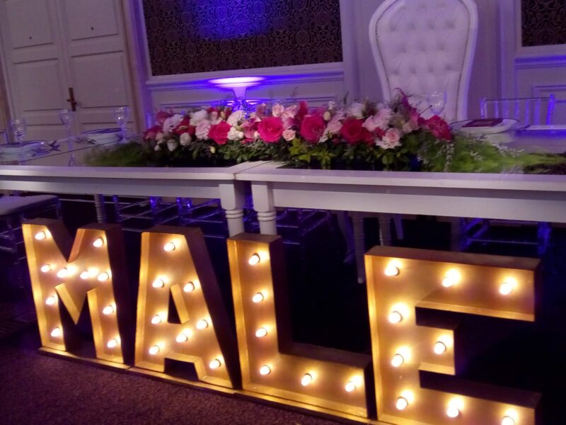 AMP artefloral - Imagen principal