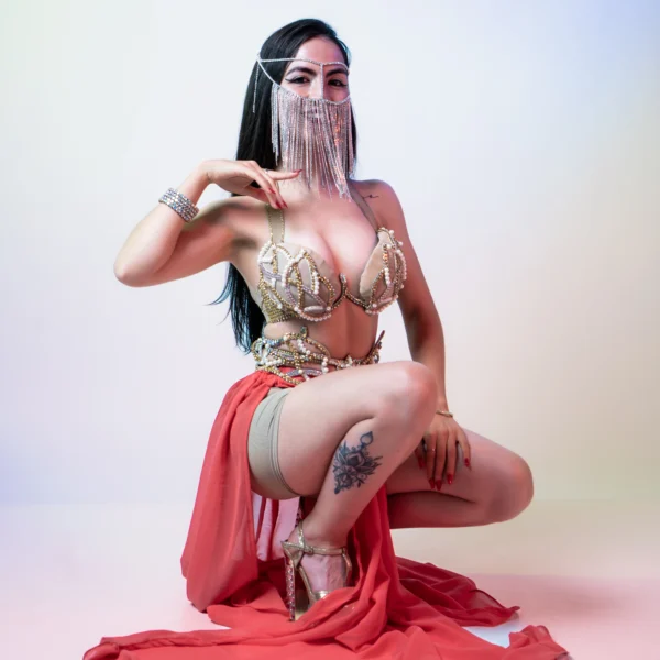 Oriental Show- Danzas Arabes - Imagen principal