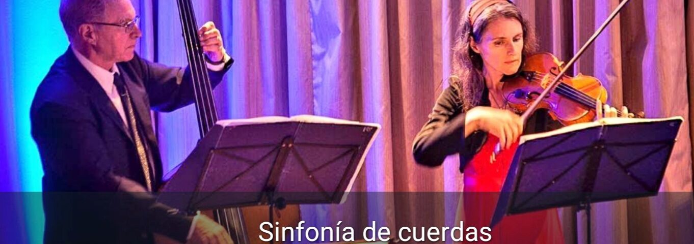 Strauss Musik - Portada