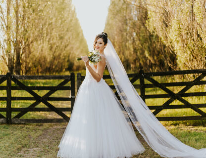 Wedding Highlights