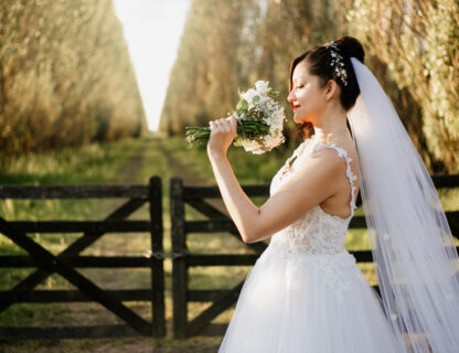 Wedding Highlights