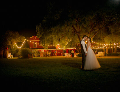 Wedding Highlights