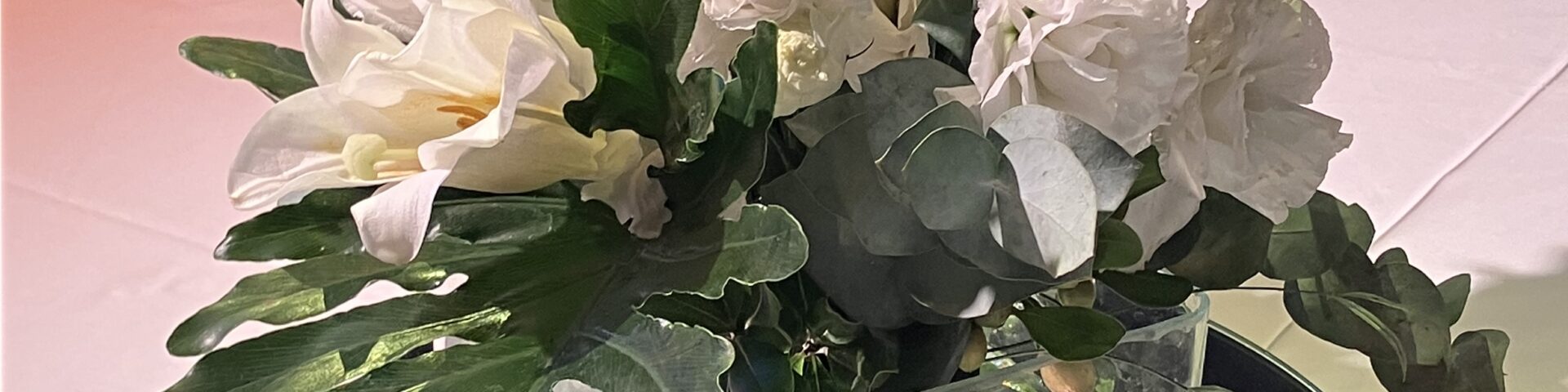Mey Flowers Ambientaciones - Portada