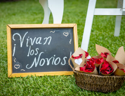 Wedding Highlights