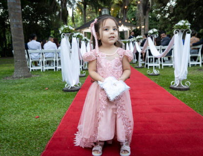 Wedding Highlights