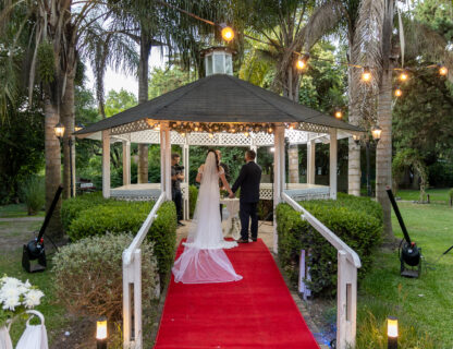 Wedding Highlights