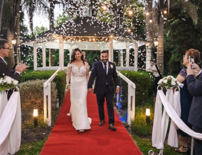 Wedding Highlights