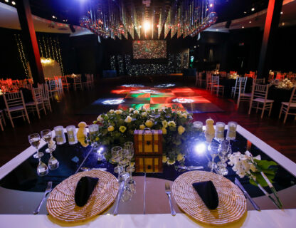 Wedding Highlights