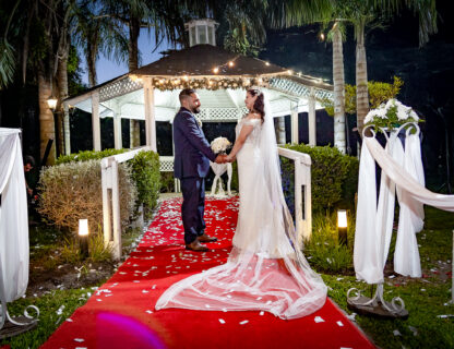 Wedding Highlights
