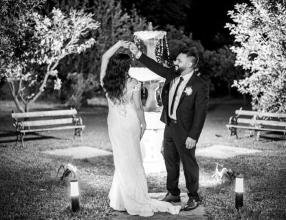 Wedding Highlights