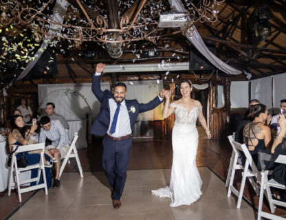 Wedding Highlights