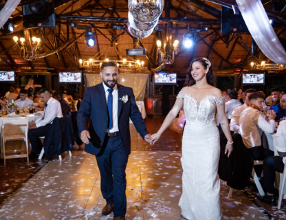 Wedding Highlights