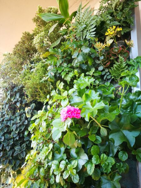 Bayres Verde Jardines Verticales - Imagen principal