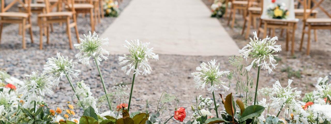 Limay Floral - Portada