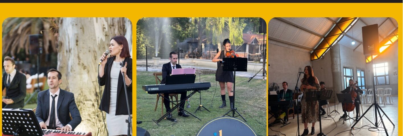 Vibes música para eventos - Portada
