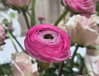 Alma Floral. Florista